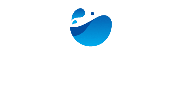 Blanchisserie Servi Linge